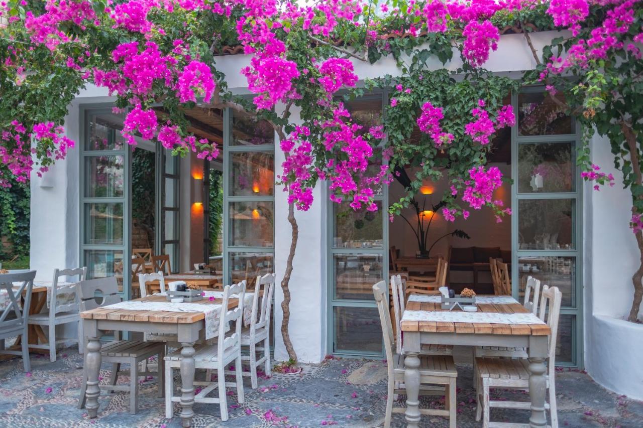 אולודניץ Flamingo Hotel & Spa - Pet Friendly מראה חיצוני תמונה
